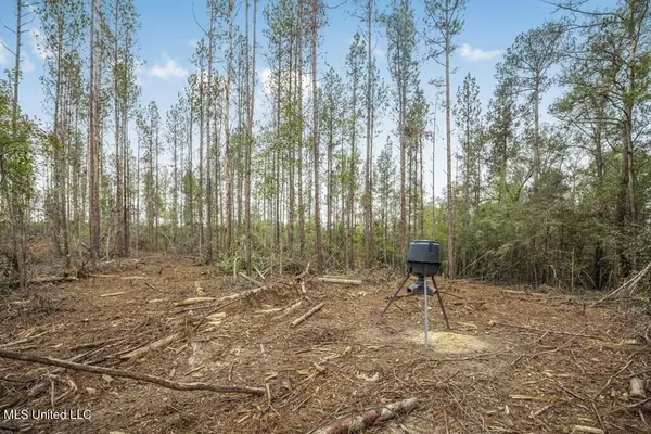 Ruth, MS 39662,3163 SE Reeves Road