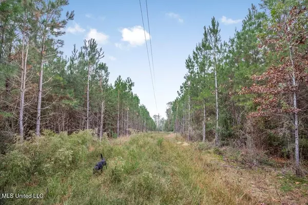 Ruth, MS 39662,3162 SE Reeves Road