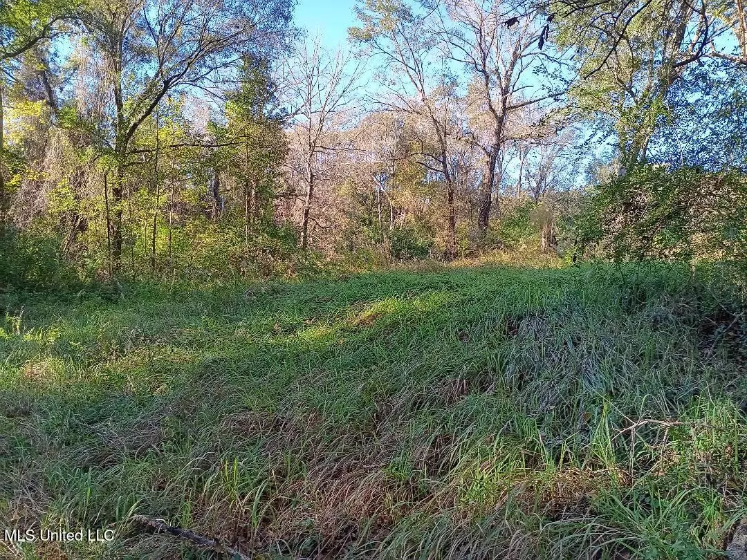 Vancleave, MS 39565,15208 Old River Road