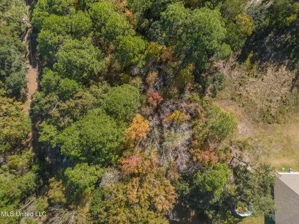 Ocean Springs, MS 39564,0 Pear Street