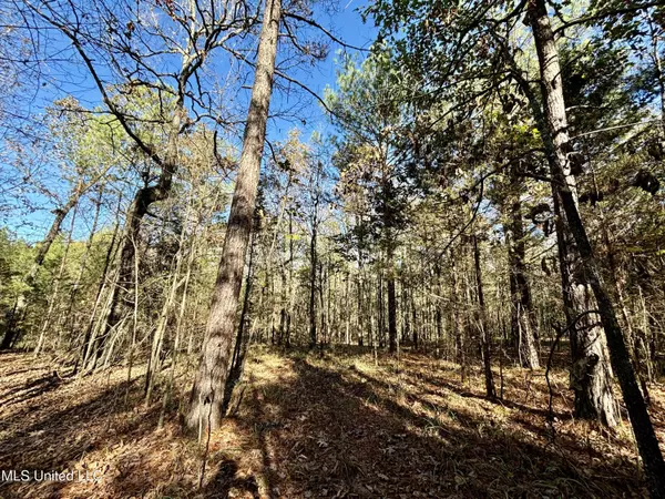 Houlka, MS 38850,0 County Road 413