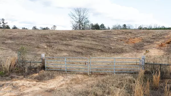 Ms-13  (44 Acres), Mendenhall, MS 39114