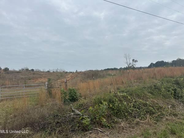 Ms-13  (44 Acres), Mendenhall, MS 39114