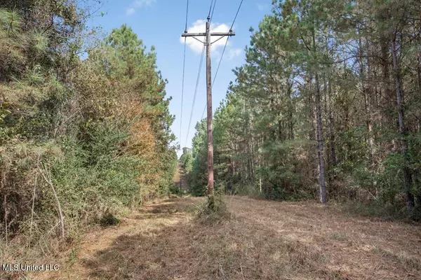 Roxie, MS 39661,6037 Ms-33