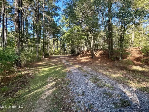 Crosby, MS 39633,1845 Dry Fork Creek Road