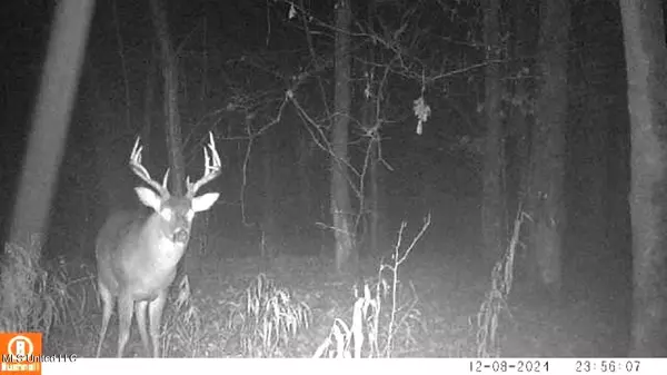 Starkville, MS 39759,4885 Ennis Road