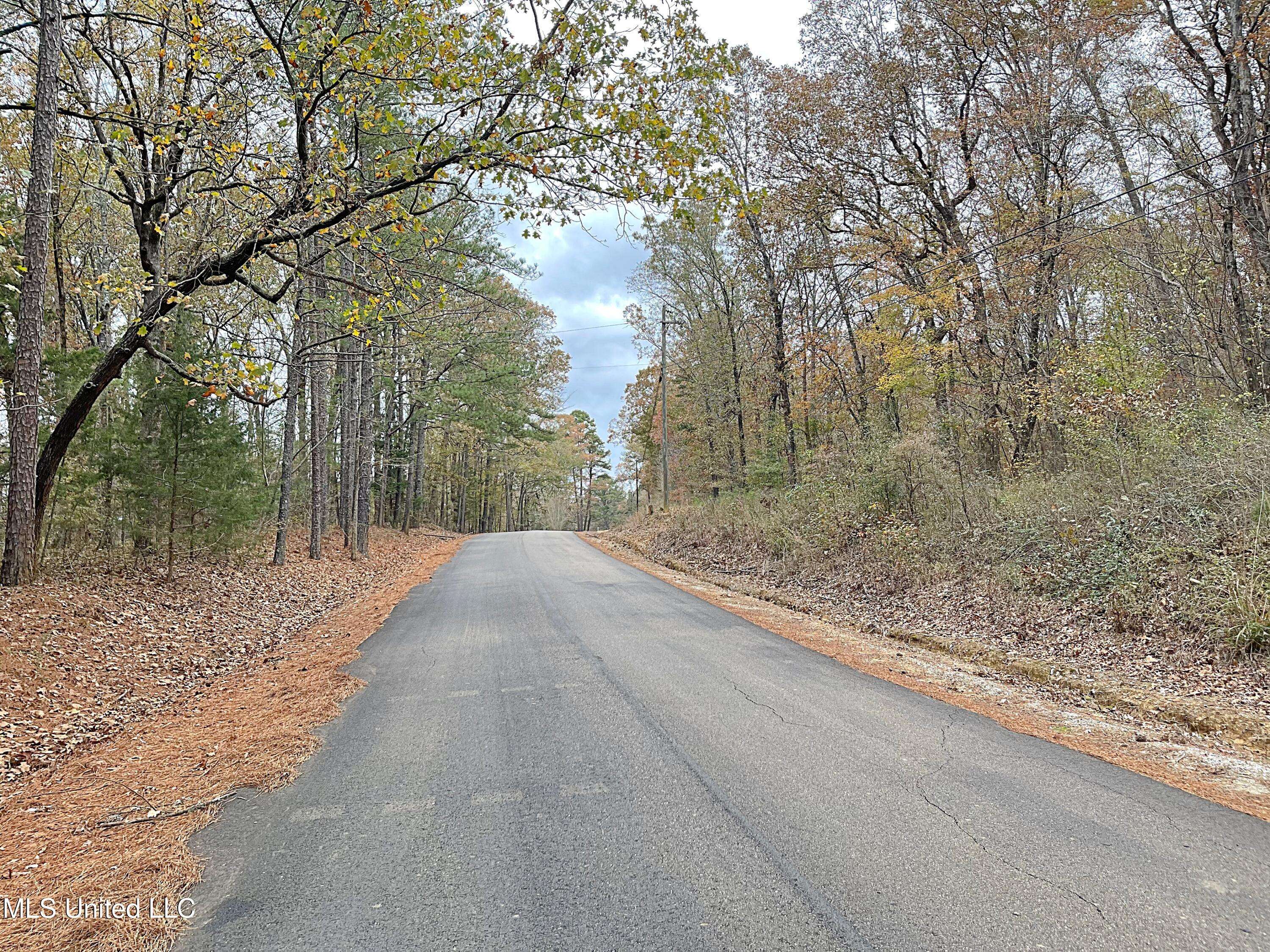 Carthage, MS 39051,Harkins Road
