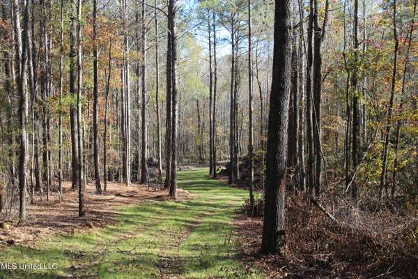 2000 Highway 35, West, MS 39192