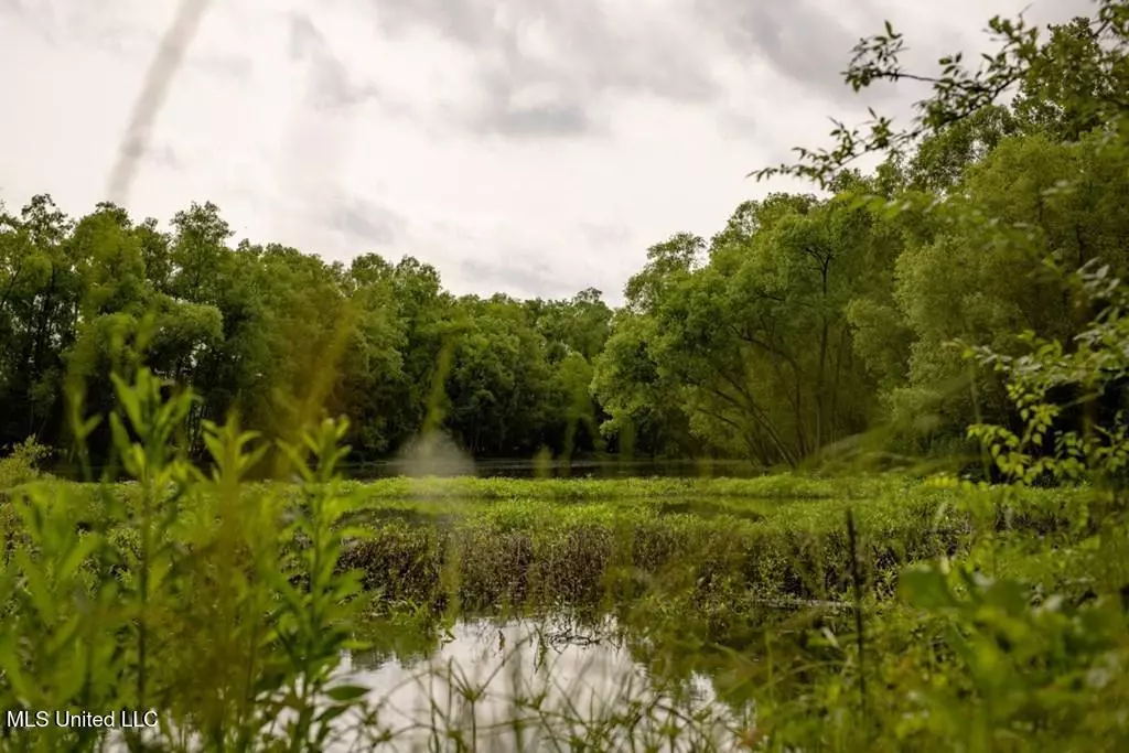 Hermanville, MS 39086,1017 Insemore Place