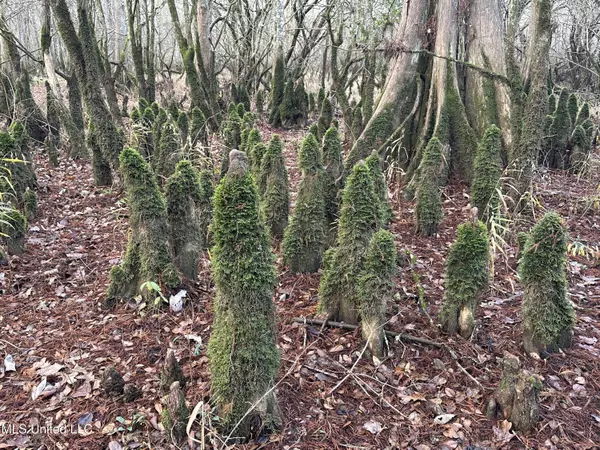 Kosciusko, MS 39090,Off Highway 14