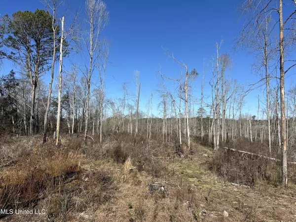 Wesson Game Lane, Wesson, MS 39191