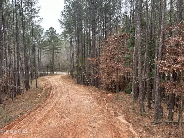 Pelahatchie Road,  Pelahatchie,  MS 39145