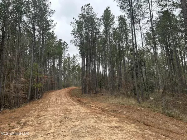 Pelahatchie, MS 39145,Pelahatchie Road