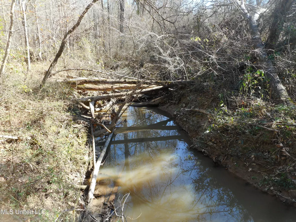 Brandon, MS 39042,Joe Davis Street
