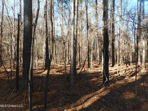 Brandon, MS 39042,Peter Mcaffee Drive