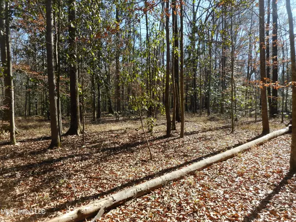 Brandon, MS 39042,Peter Mcaffee Drive