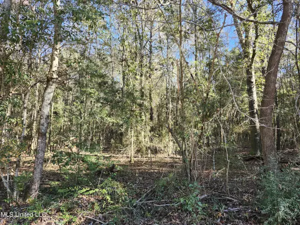 Kiln, MS 39556,0 Hoda Road