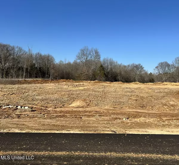 8 Pebble View Drive, Byhalia, MS 38611