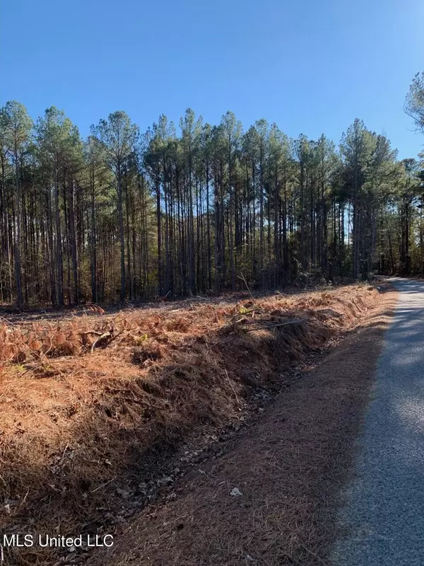 Carthage, MS 39051,0 Revere Road