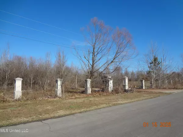 Byhalia, MS 38611,Beechtree Ln, Lot #22