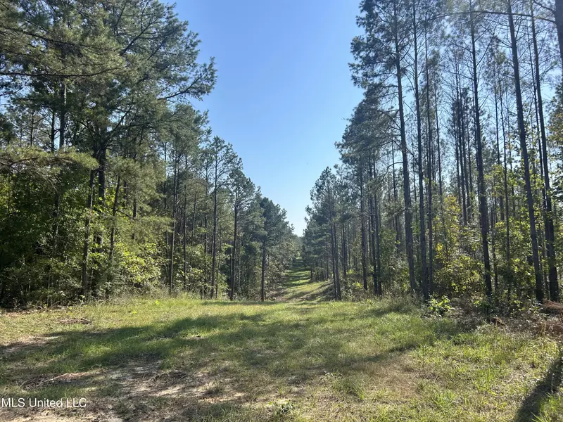 Rials Road, Georgetown, MS 39078