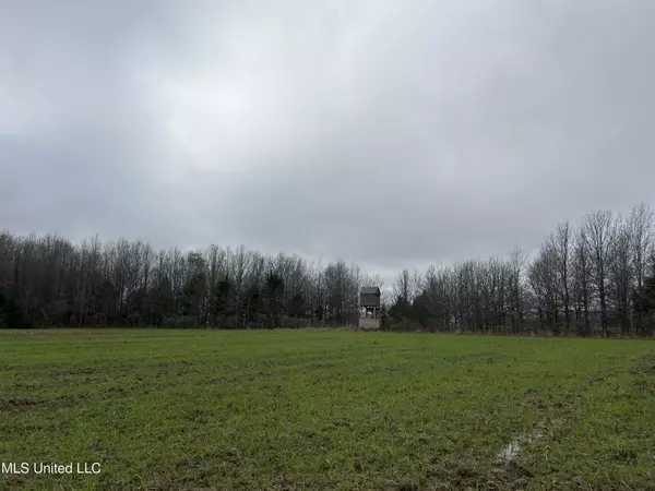 Belzoni, MS 39038,Tram Road