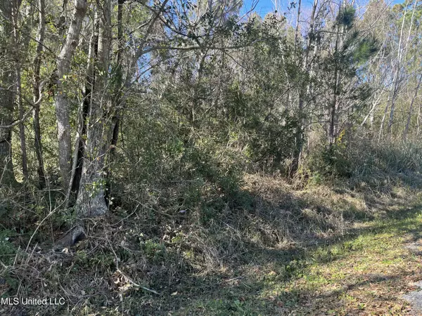 Ocean Springs, MS 39564,1420 Plover Street