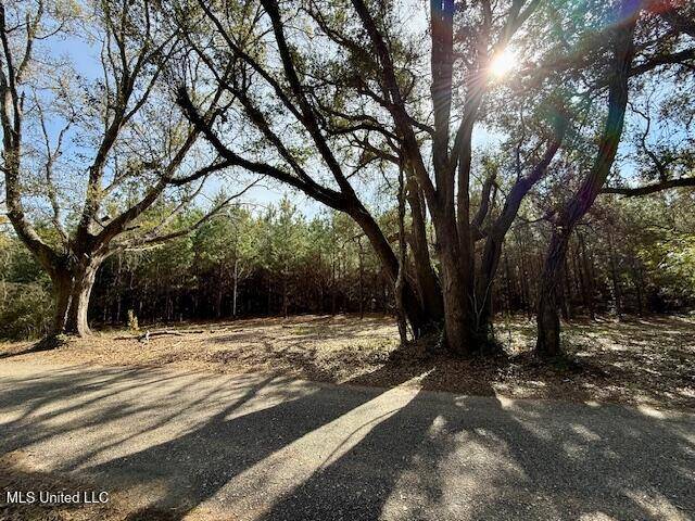 Sandy Hook, MS 39478,Military And Tynes Roads
