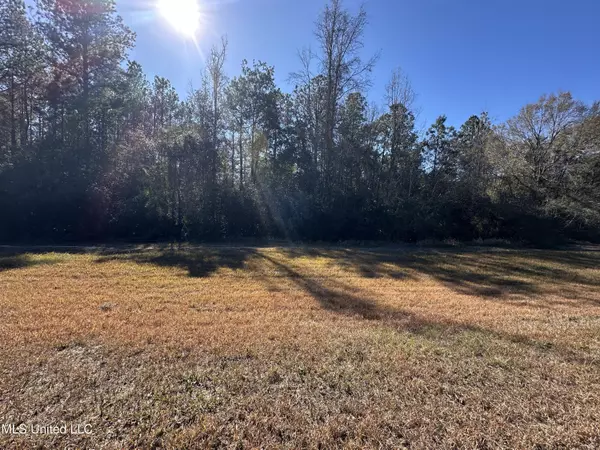 Eagle Ridge Road, Vancleave, MS 39565