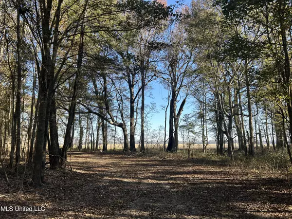 Rolling Fork, MS 39159,Goose Lake Road