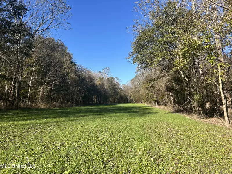 Goose Lake Road, Rolling Fork, MS 39159