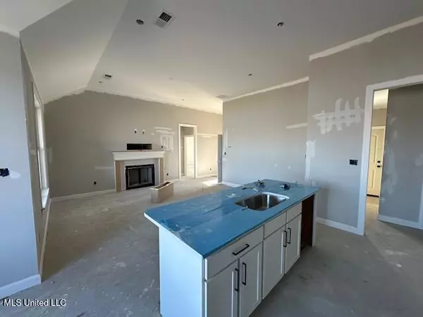 Lake Cormorant, MS 38641,10538 Camilla Circle