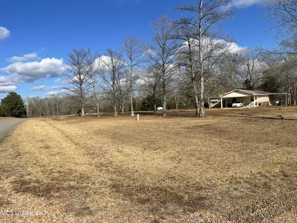 Starkville, MS 39759,91 Frye Road