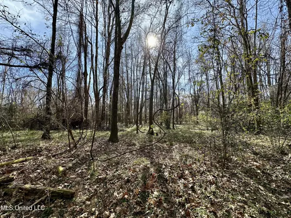 Crosby, MS 39633,0 Perry Town Road