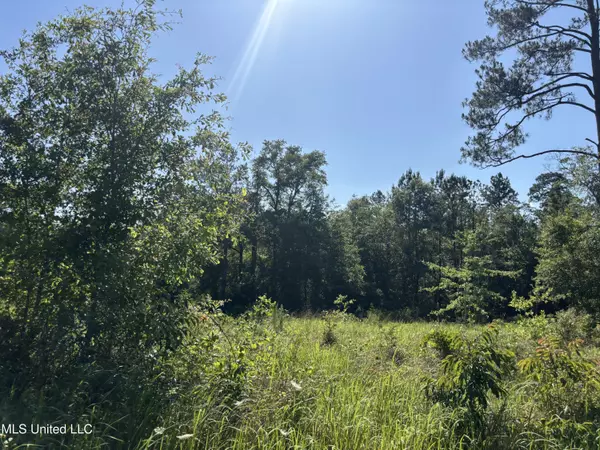 Poplarville, MS 39426,0 Robert Rhodes Road