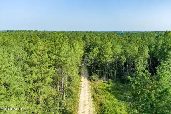 Leakesville, MS 39451,Jernigan Road