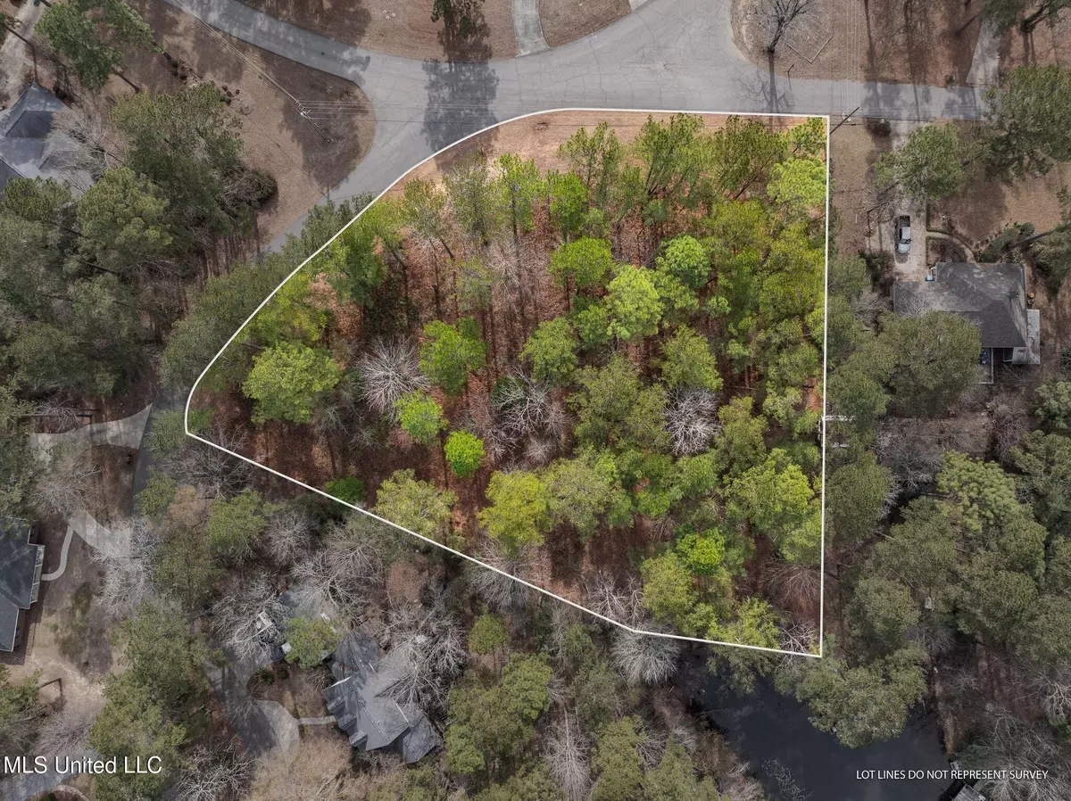 Petal, MS 39465,101 Heartwood
