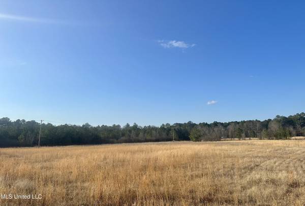 0 Bowen Road, Mendenhall, MS 39114