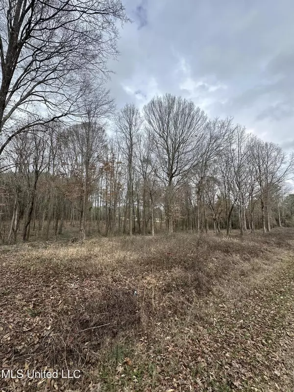 Forest, MS 39074,0 Futch Road Road