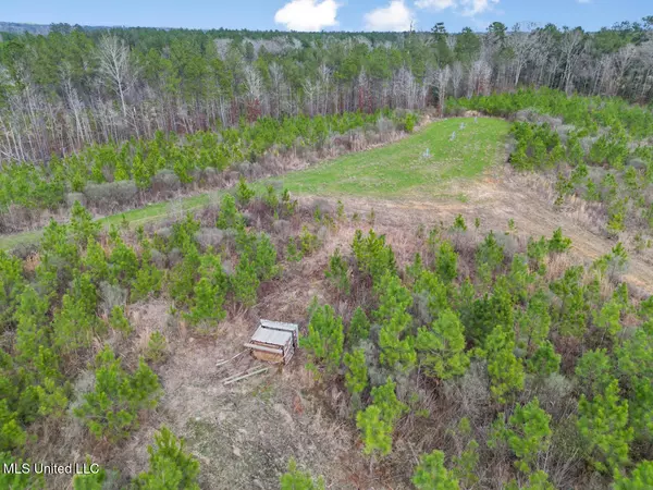 Wesson, MS 39191,3771 NE Timberline Road