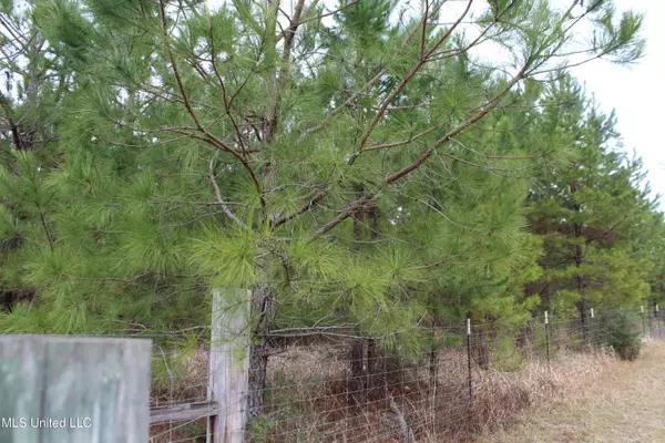 Leakesville, MS 39451,Old Hwy 63n