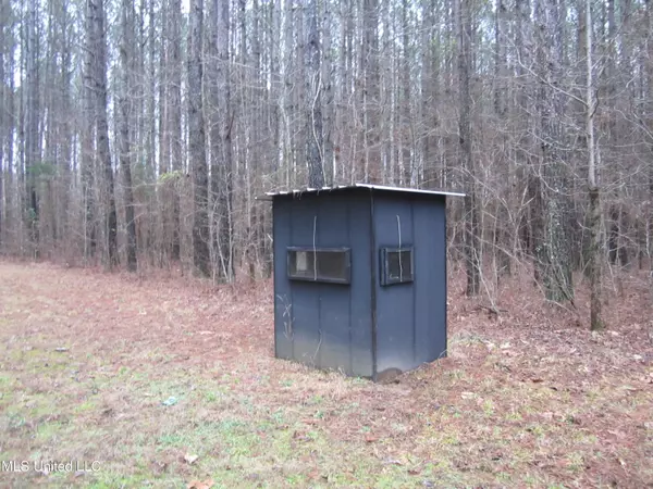 Charleston, MS 38921,Hunter Creek Road