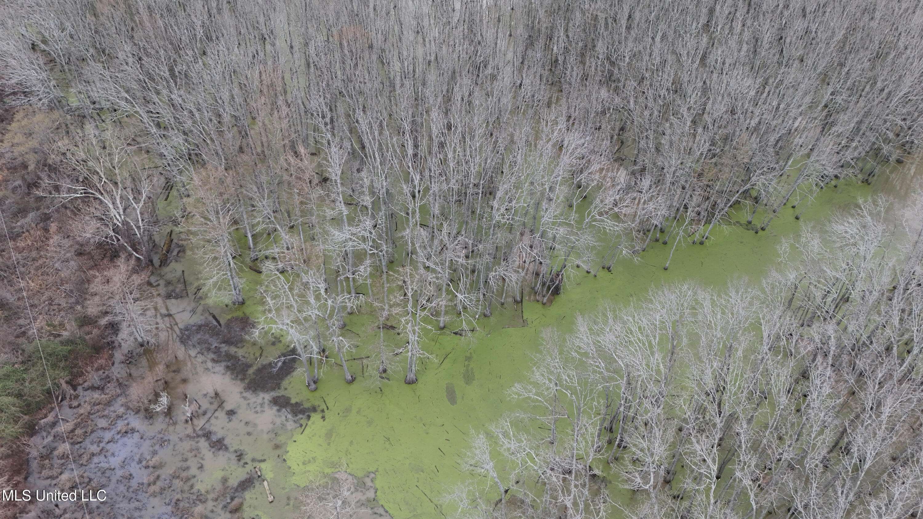 Itta Bena, MS 38941,County Road 167