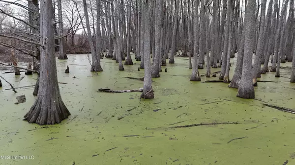 Itta Bena, MS 38941,County Road 167