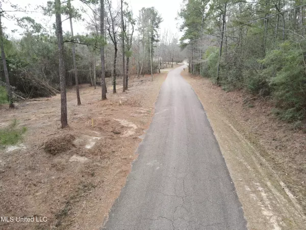 Sumrall, MS 39482,390 Farve Road