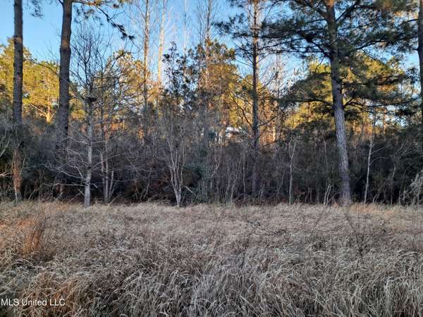 Tannertown Road, Lucedale, MS 39452