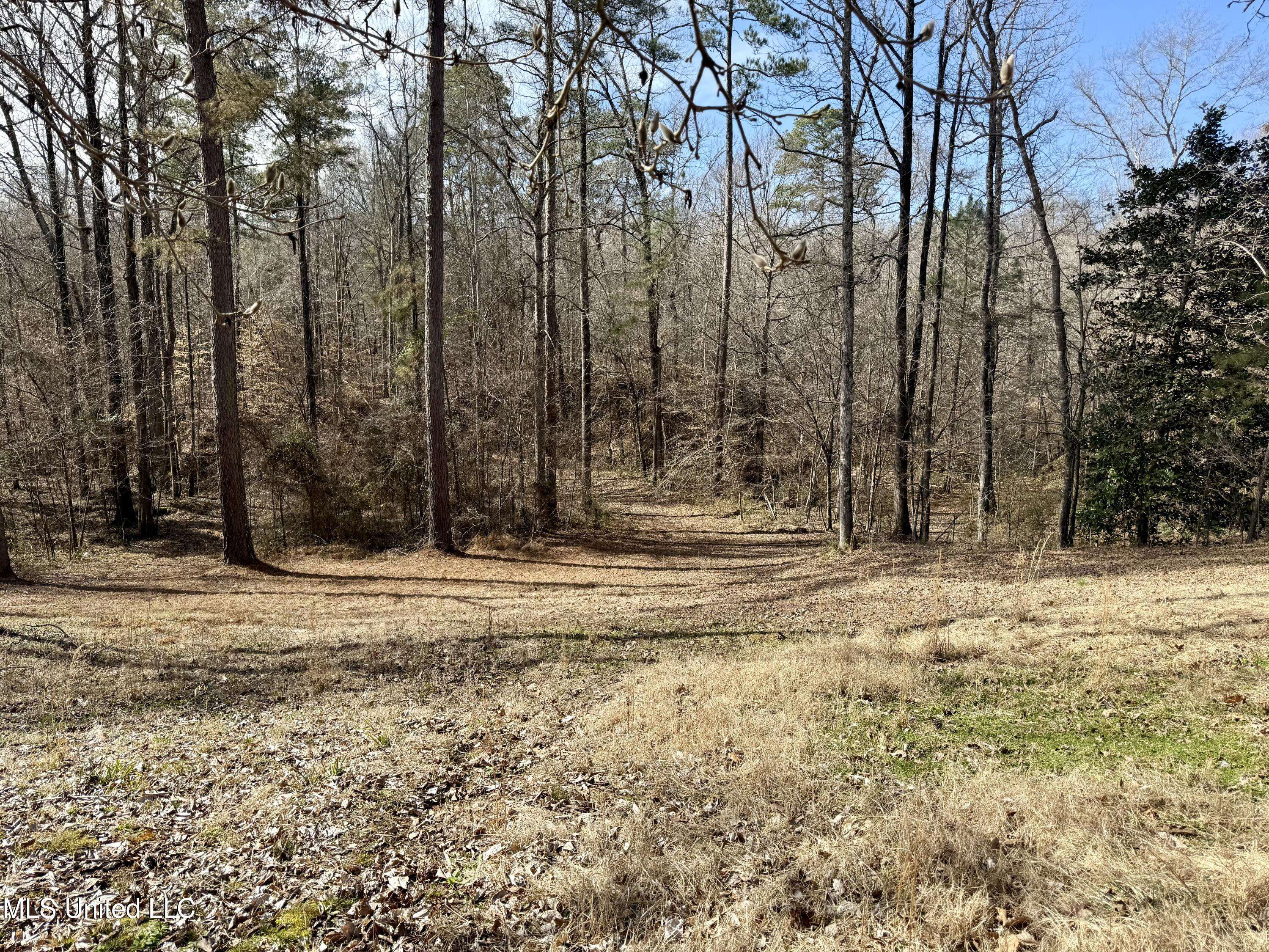 Lexington, MS 39095,715 Woodland Hills Dr