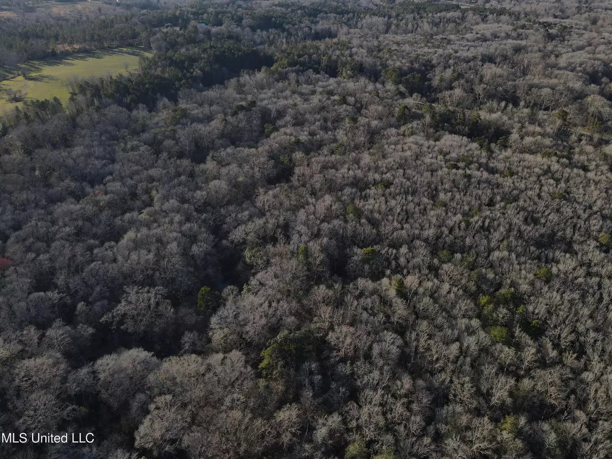 Mount Olive, MS 39119,63 Clem Road