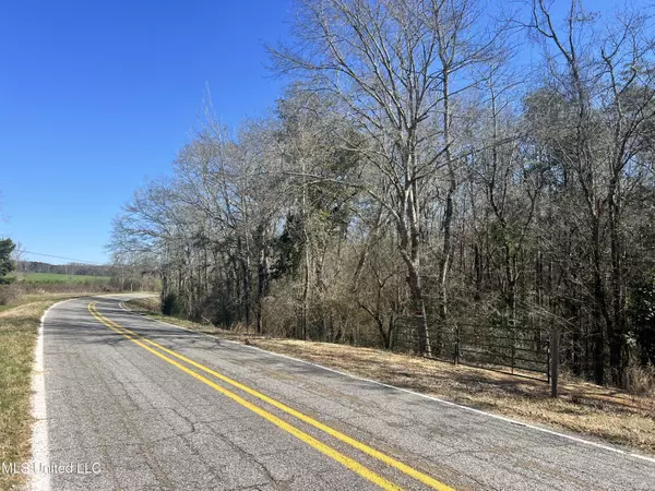 Mount Olive, MS 39119,63 Clem Road