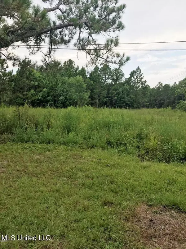 Pass Christian, MS 39571,357 Rosehart Avenue